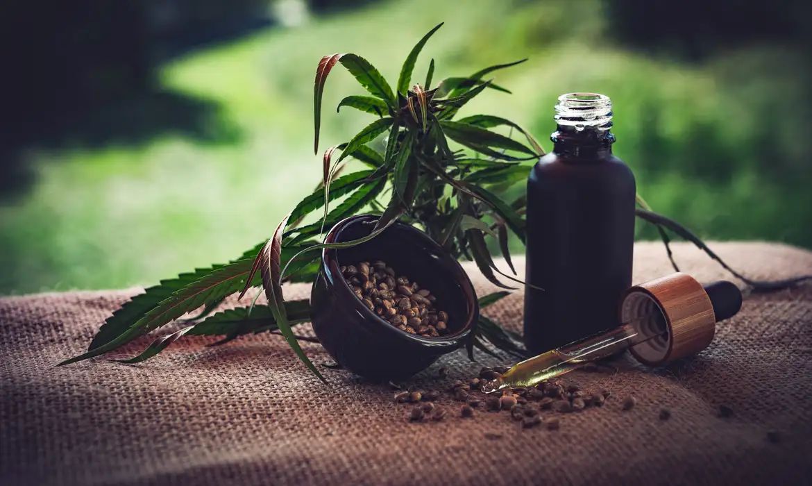 Para associações, normas ainda deixam pontos em aberto sobre cannabis